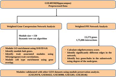 Integrative Analysis of Hippocampus Gene Expression Profiles Identifies Network Alterations in Aging and Alzheimer’s Disease